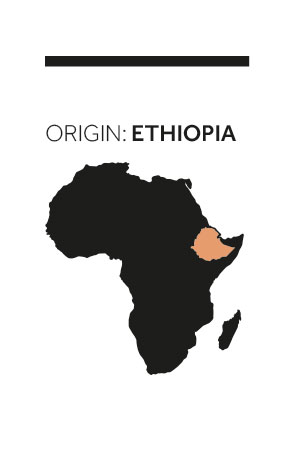ethiopia_ok
